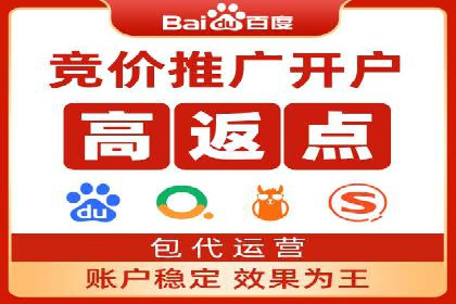 百度竞价广告案例分析：成功之道揭秘